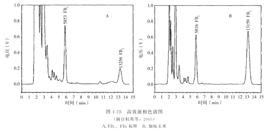 动物源性食品中霉菌毒素的检测——伏马菌素