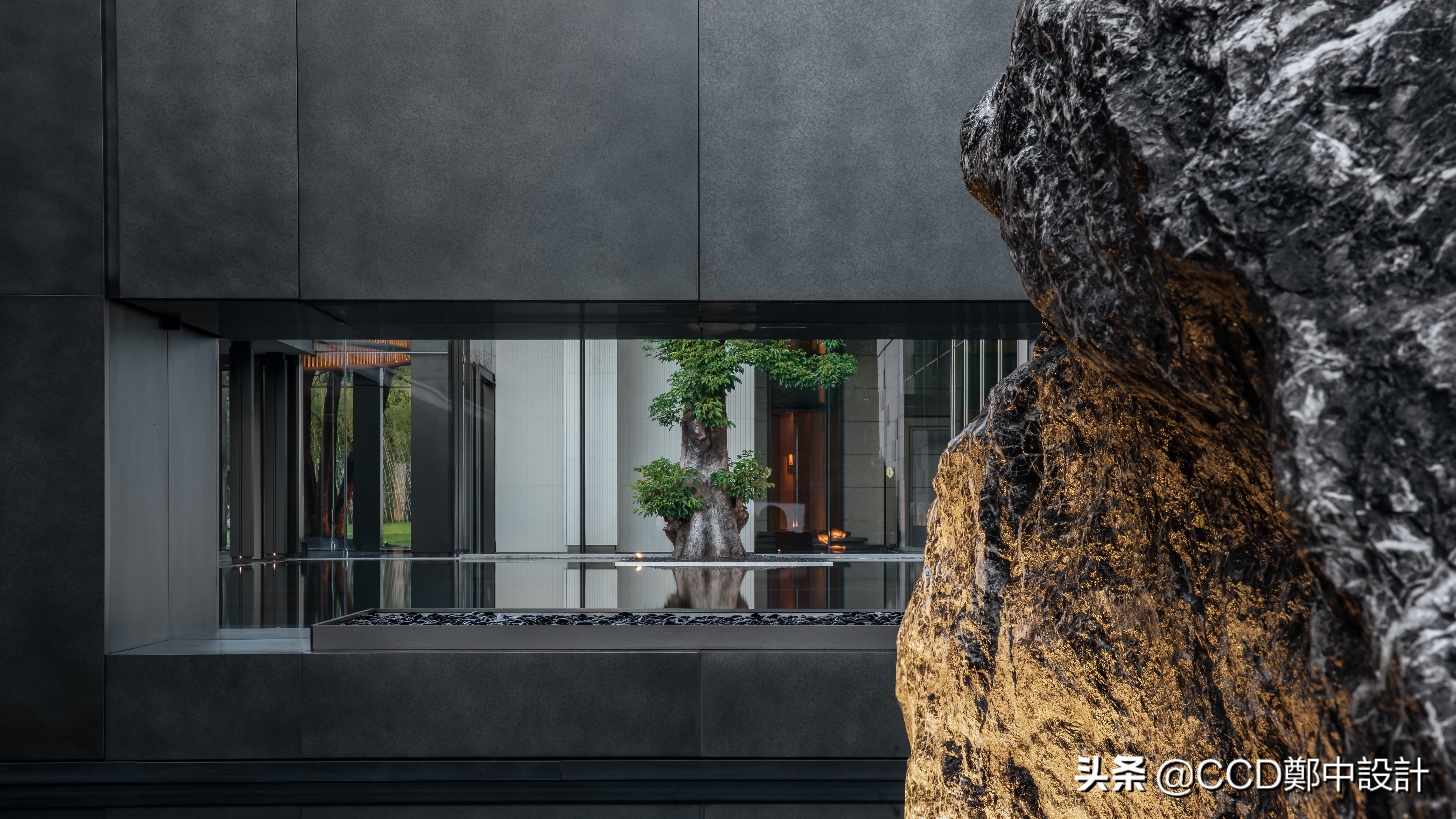 ccd最新酒店,ccd深圳最新酒店设计案例