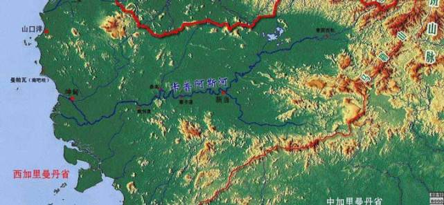 买最贵的观赏鱼是为了什么,为什么有人愿意花一百万