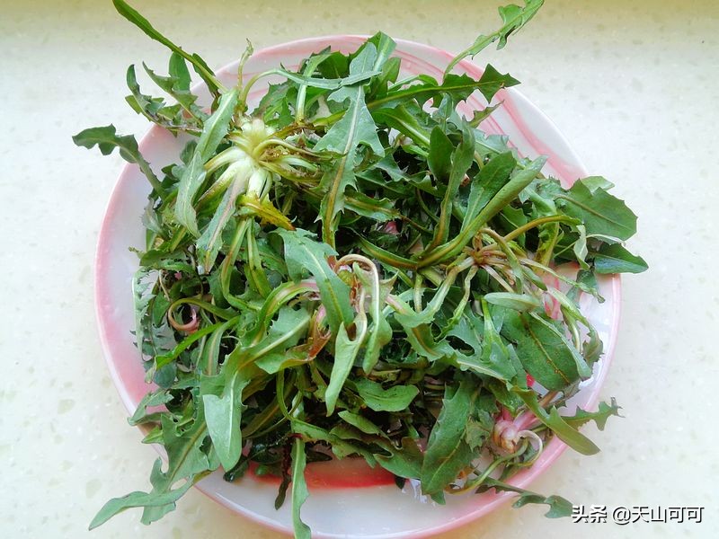 什么野菜吃了利尿降火补肾的,比肉还好吃的10种野菜做法