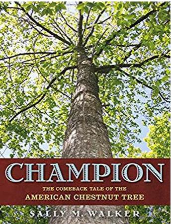 美国幼儿教育书籍推荐,stem英语读物