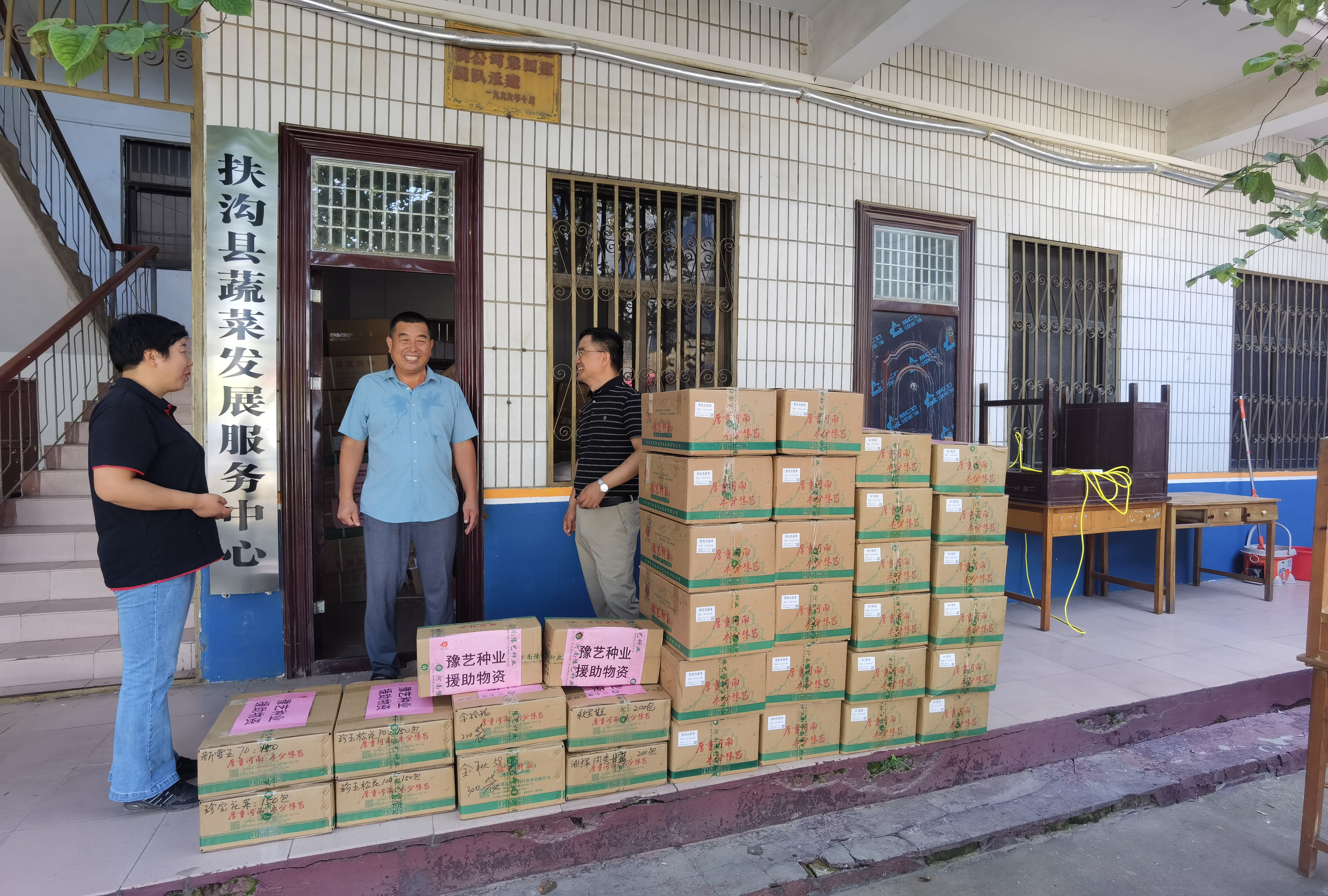 2900包种子：扶沟菜农的绿色希望