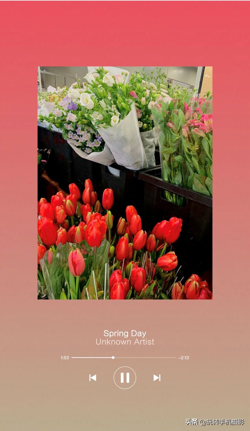 今年错过的春天，这些摄影app全给安排上了