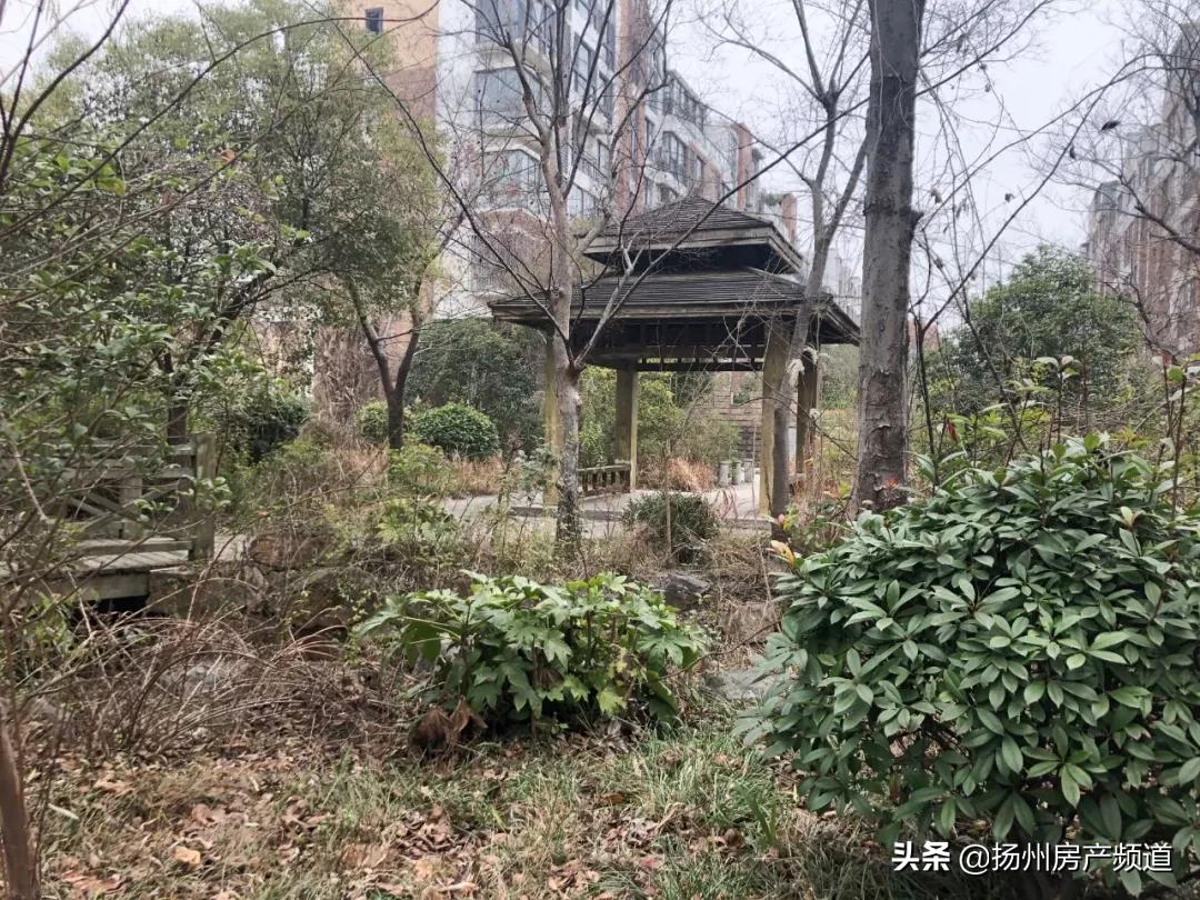 扬州房价因为什么下跌,扬州的房价到底降没降