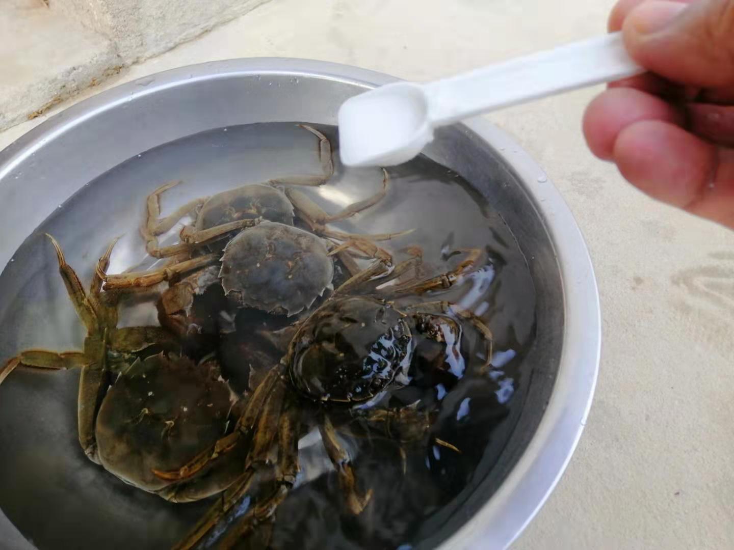 螃蟹的家常做法清蒸毛蟹,螃蟹除了清蒸辣炒外还能怎么做