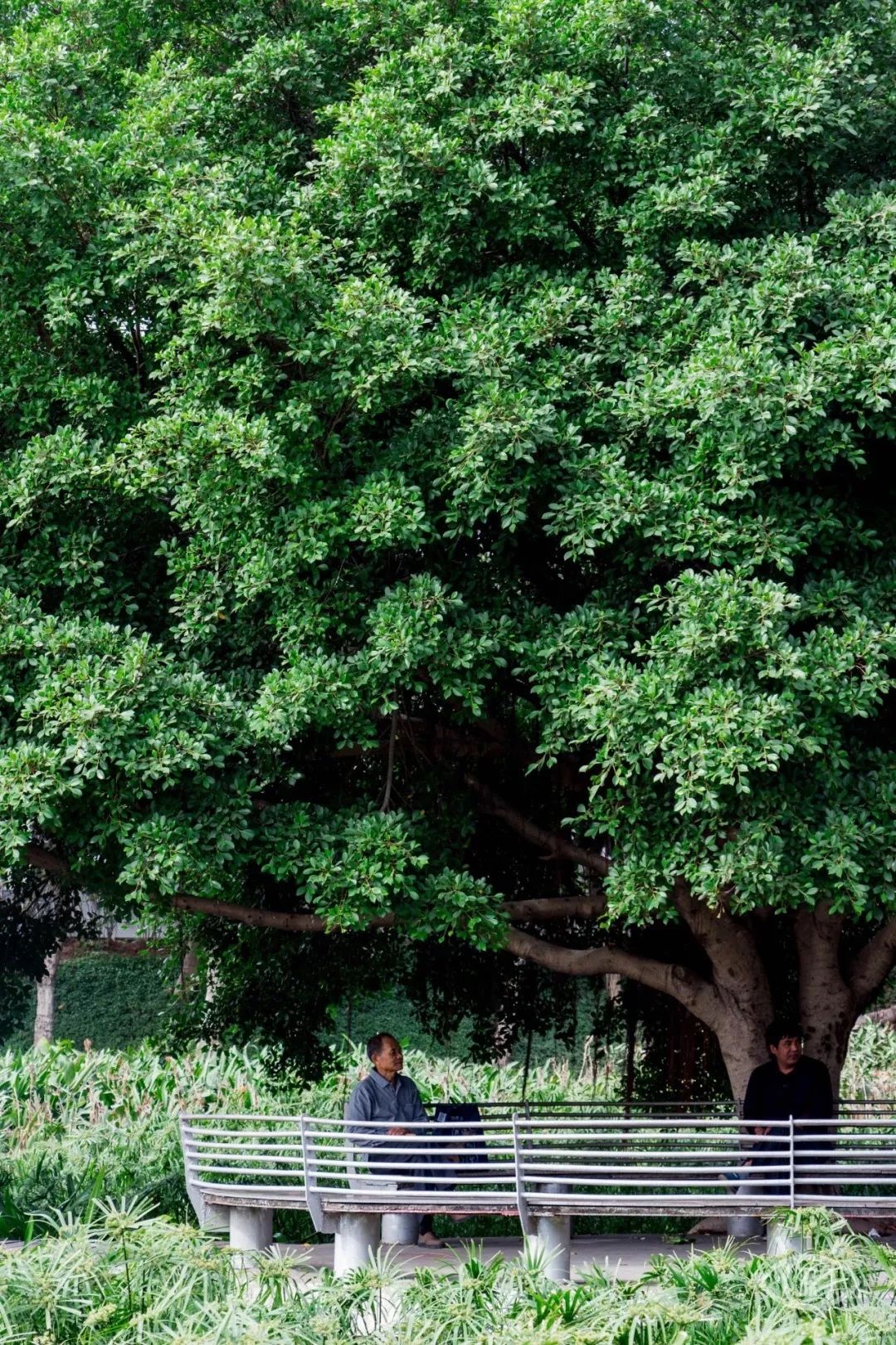深圳周末浪漫好去处,深圳浪漫约会地点十个景点