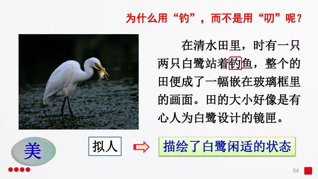 五年级部编版语文白鹭讲课视频,部编小学语文五年级上册白鹭课件