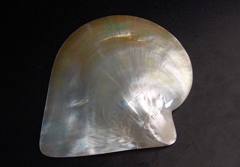 珍珠贝——用时间磨平伤痛，用温柔造就无双的美