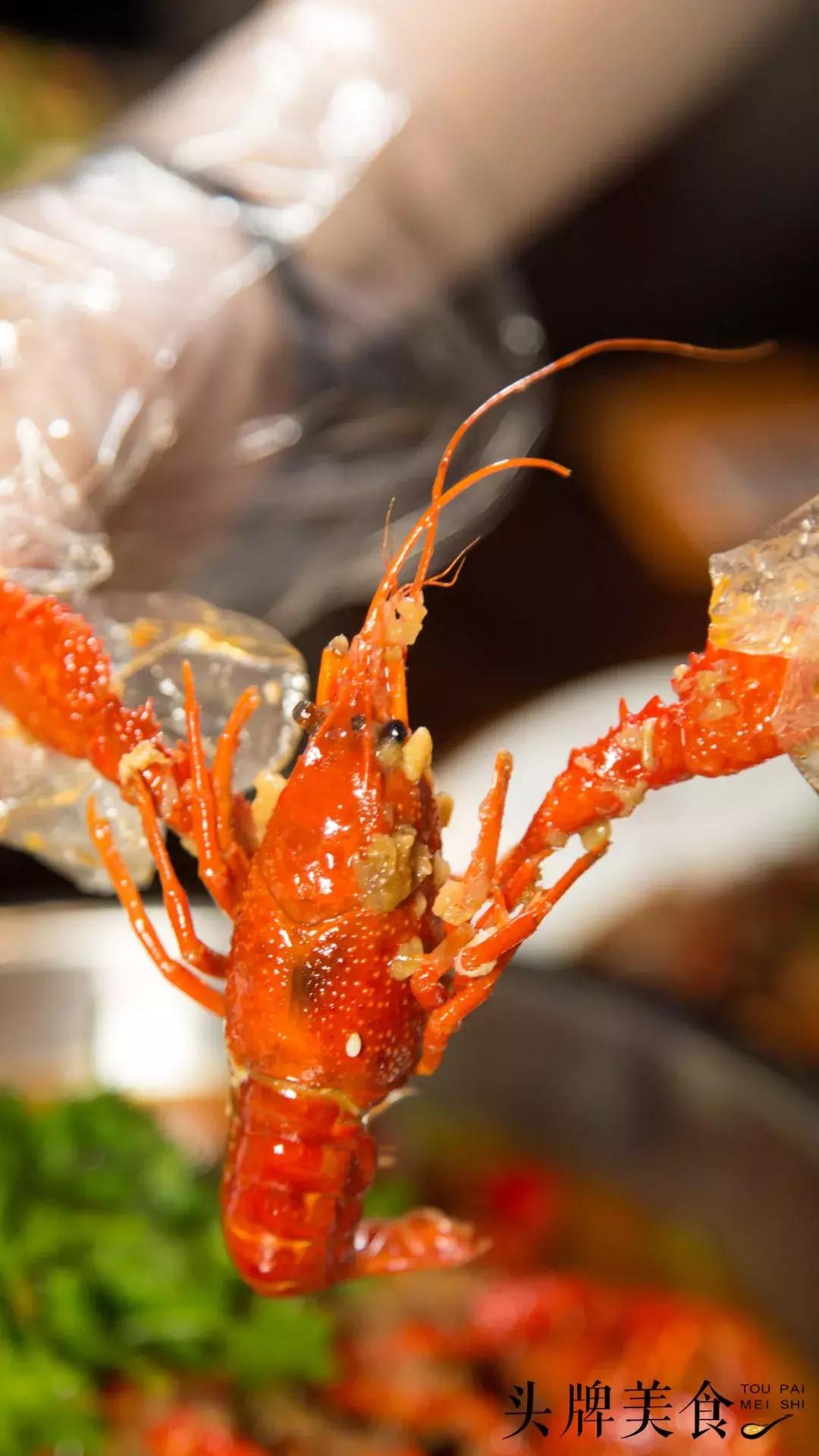 东二环泰禾有情调的餐厅,东泰禾新开的音乐餐吧