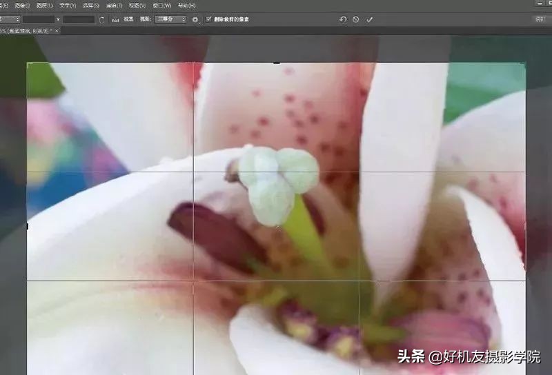 景深后期怎么合成照片,如何拍出前虚后实的景深照片
