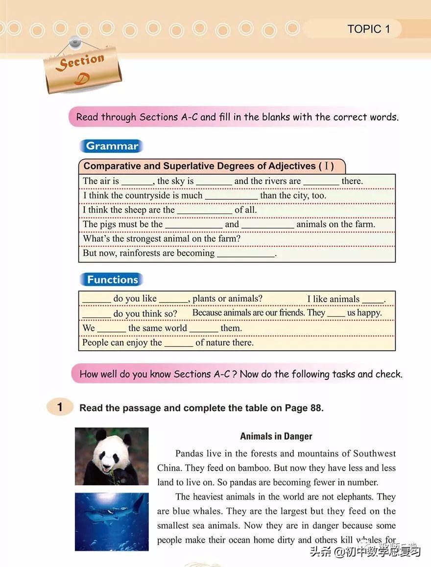 仁爱英语八年级下册预习,英语仁爱版八年级上册课本预习