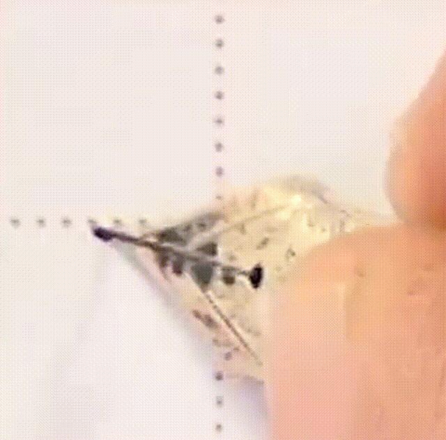 书写横画在字的不同位置技法,横字的笔画教学