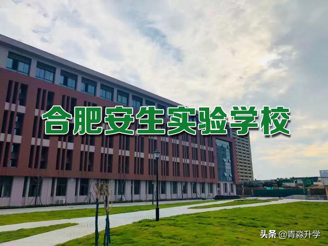 合肥安生学校高中报名条件,安生学费大概多少