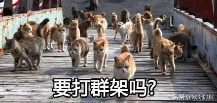 全欧了:法国巴西“骂战”不断竟是为了钱?