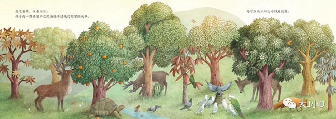 大班经典绘本推荐,国际获奖幼儿经典绘本推荐