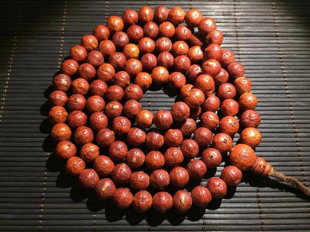 菩提凤眼菩提,金刚菩提对比凤眼菩提