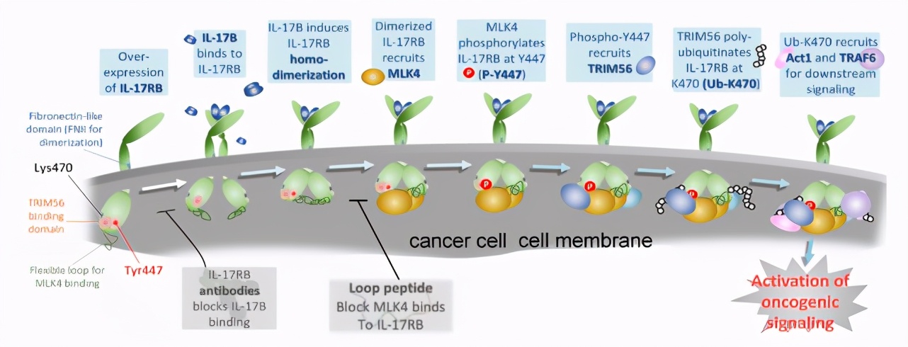 胰腺癌神经阻断术效果好吗,胰腺癌神经阻断术能持续多久有效