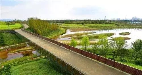 南昌附近一日游的景点有哪些,南昌旅游景点推荐一日游