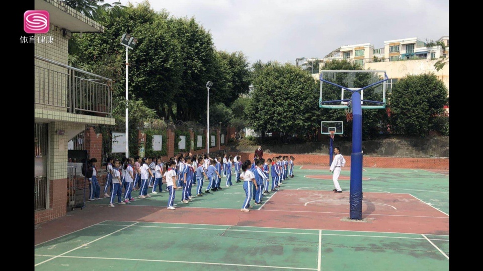 深圳市翠枫学校跆拳道,深圳市翠枫学校怎么样