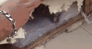 最新防割韭菜套路骗局揭秘,揭秘骗子那些割韭菜套路