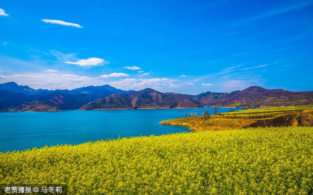 注意！手里有这张票别扔，到洛阳这些景区、酒店当“钱”花