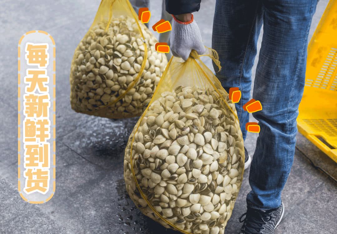 冲着“海虫子”去的卜卜贝，每天排队到凌晨1点