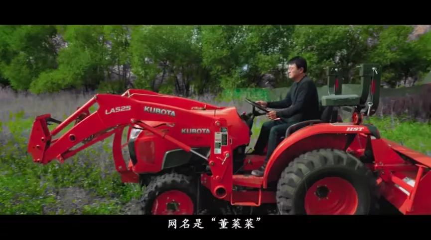 李子柒视频东北小伙,外国人评李子柒的视频