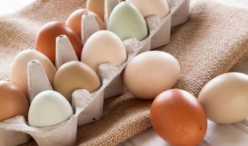红皮鸡蛋和白皮鸡蛋哪个更有营养,红皮鸡蛋比白皮鸡蛋更有营养价值