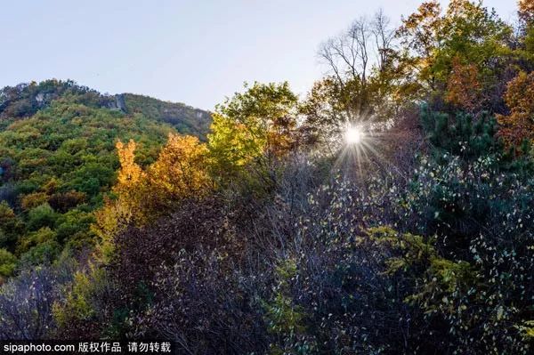 10月北京最佳小众旅行地！绝不能错过的秋色，到底有多美？