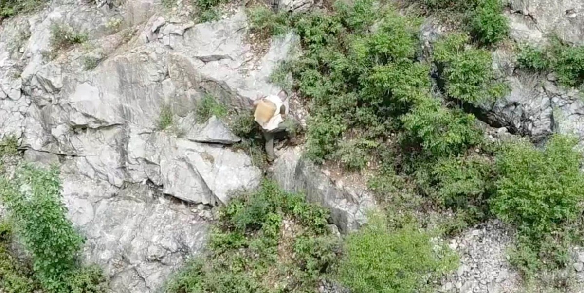 东北小伙，当过厨师和洗车工，回农村创业，拍视频年入百万，凭啥