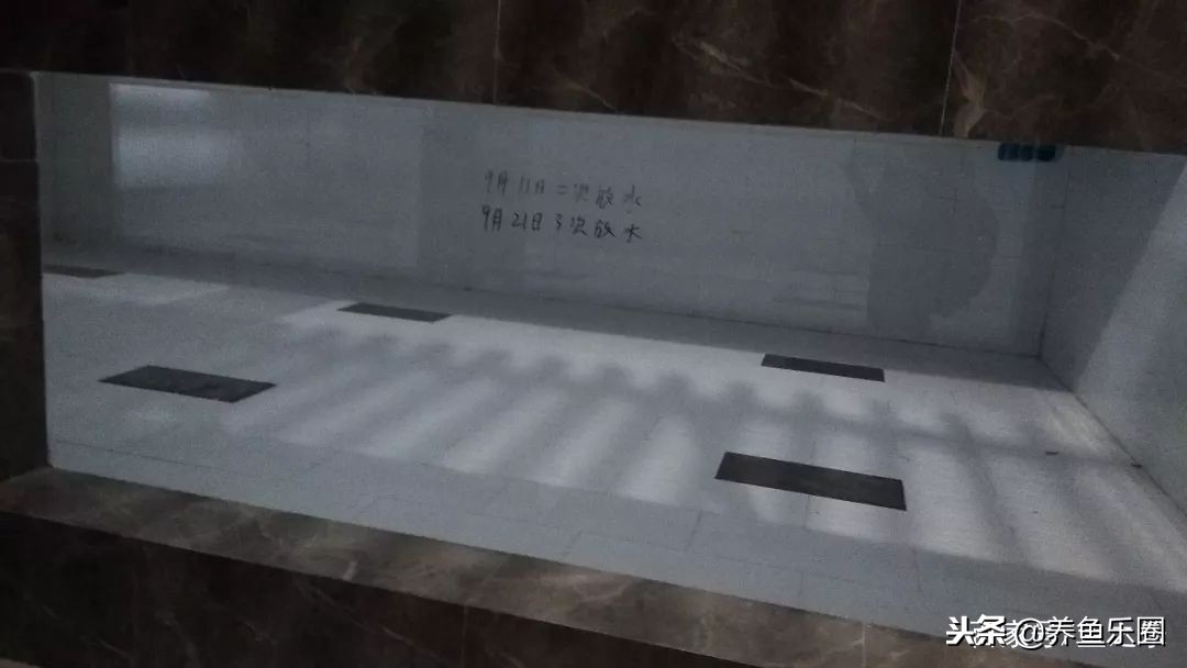 这位土豪家的渔场,光滤材就花了500多万,你确定不要见识一下?