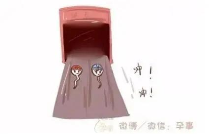 胡杏儿张歆艺参加什么节目,张歆艺电视剧生孩子