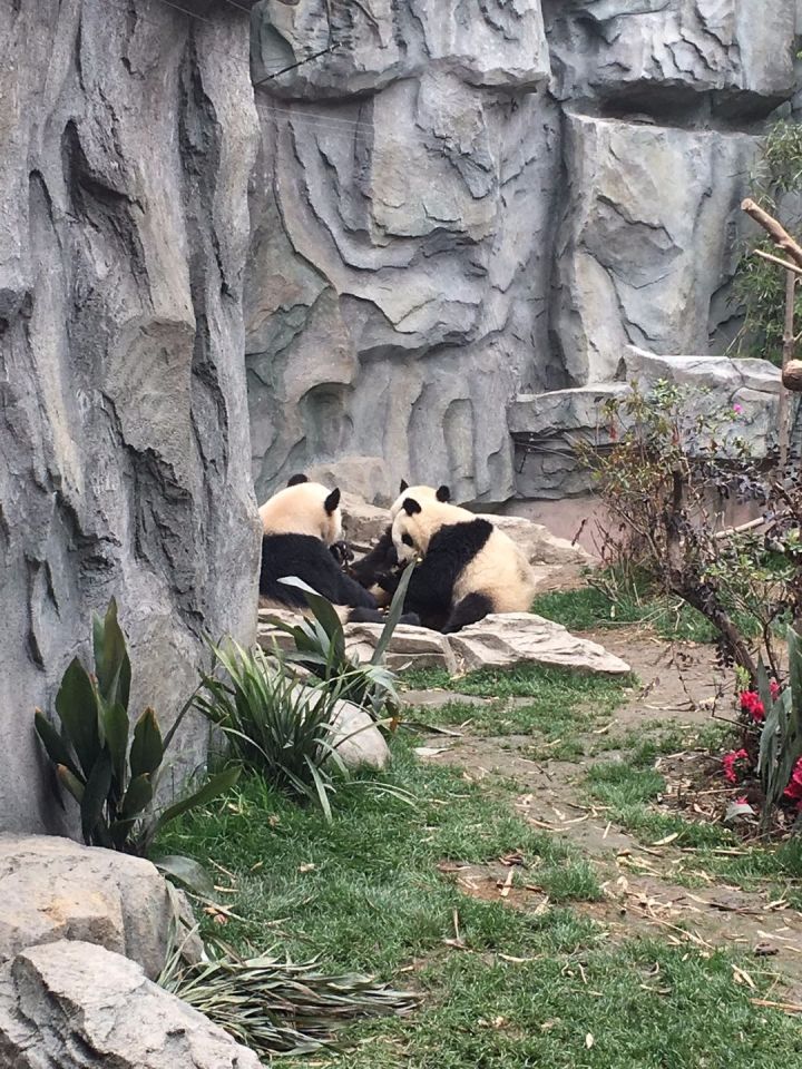 成都最吸引人的方面,成都最让你心动的地方