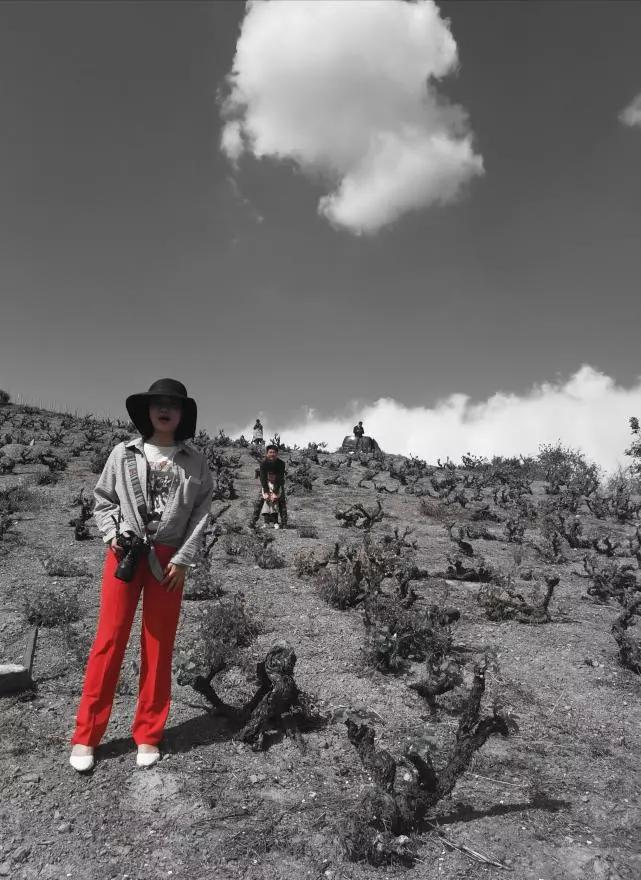 全球最孤独的小屋,世界上最孤独的小屋塞尔维亚