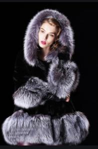 衣赠貂裘之——人们为什么喜欢貂皮大衣