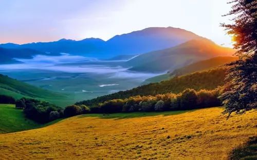 毒app背后的资本,毒app创始人杨冰简介