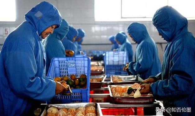 怎么才能开一家农村小型加工厂,在农村做什么小型加工厂不愁销路