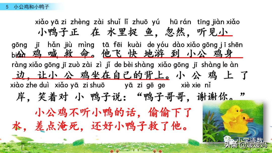 一年级下小公鸡和小鸭子课文重点,小公鸡和小鸭子一年级下册视频