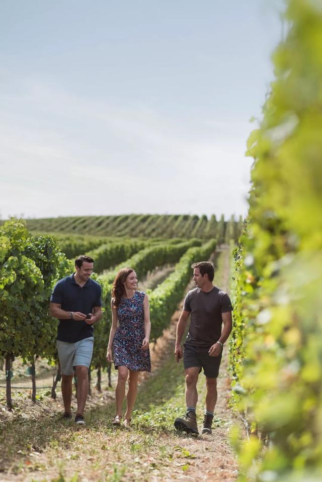 新西兰的美食,新西兰旅游必吃十大美食