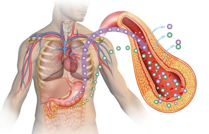 正确认识胰岛素及胰岛素新进展,胰岛素抵抗该如何减脂增肌
