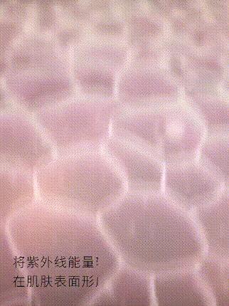 防晒和隔离是不是使人皮肤白,哪款隔离好用不暗沉