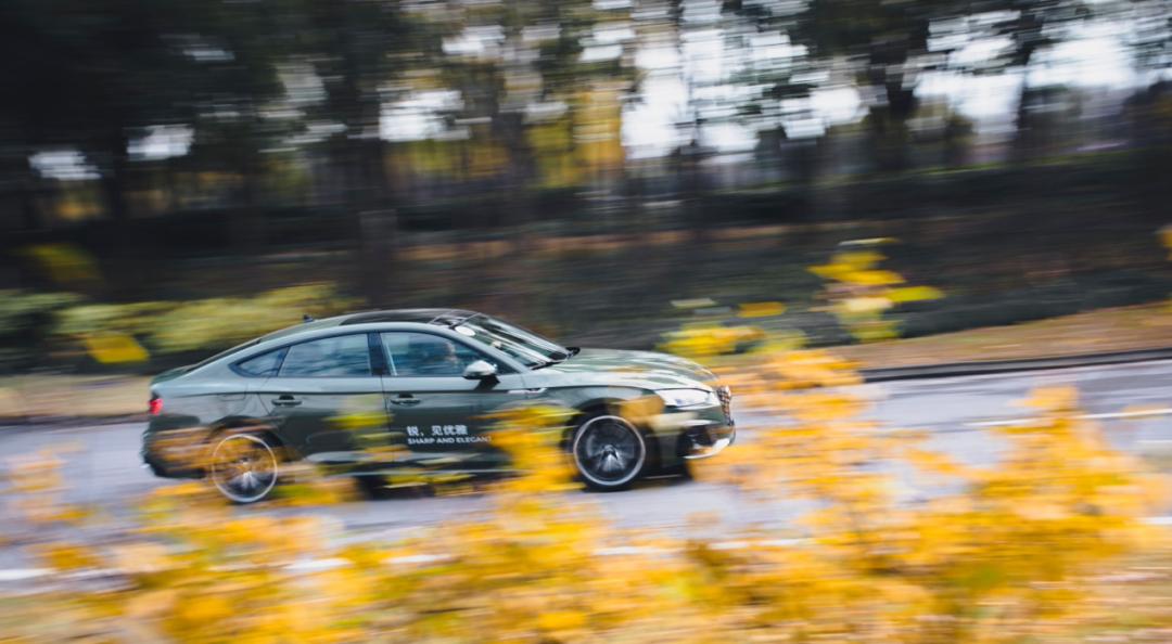 静若处子动若脱兔出处,静若处子动若脱兔下集