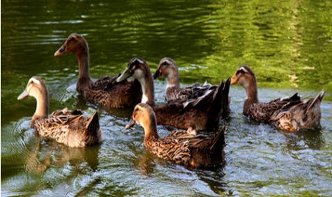 入职一周内要做哪些事,入职后为什么会被放养一段时间