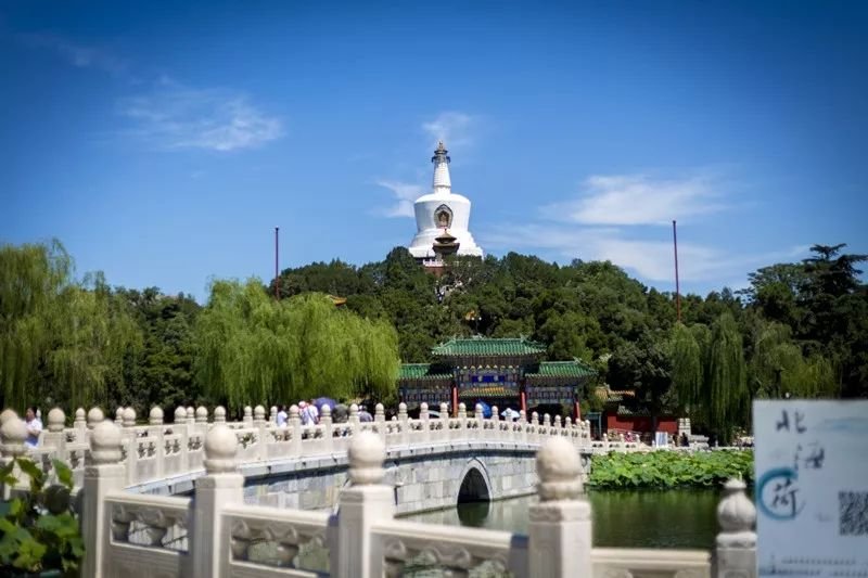 传疯了！北京第一美女找工作，简历惊呆全国！