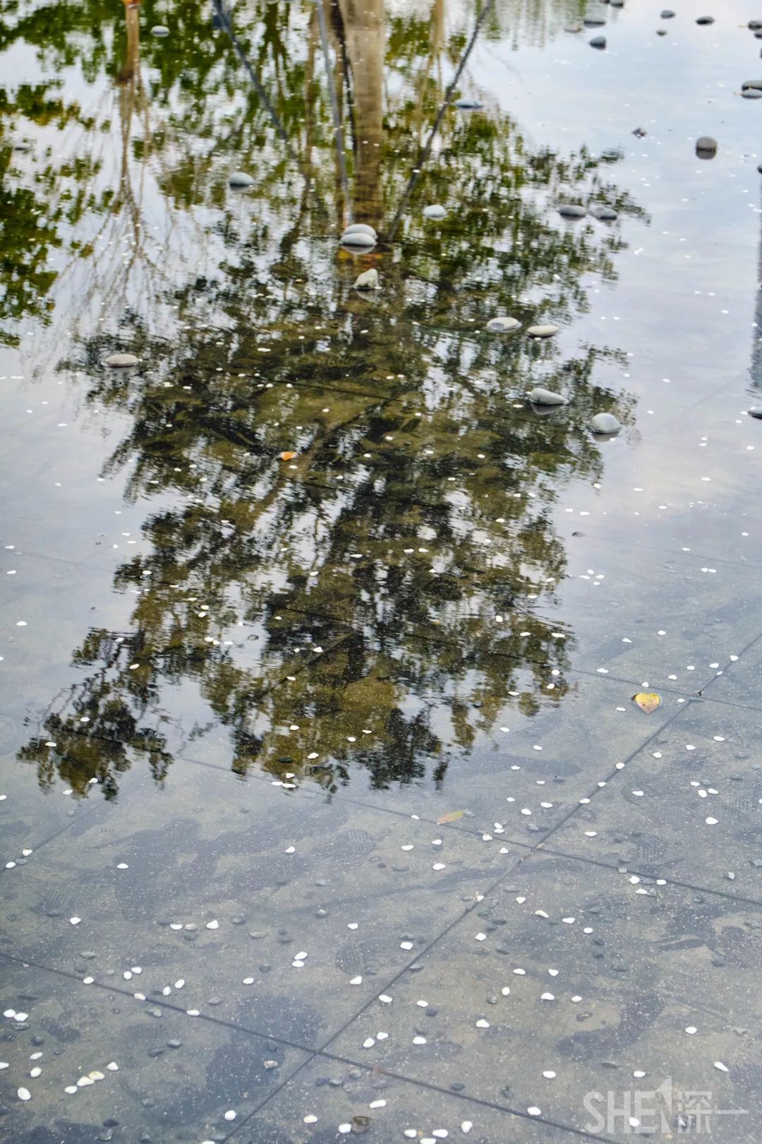 深圳网红公园地铁站,深圳地铁最近有什么公园