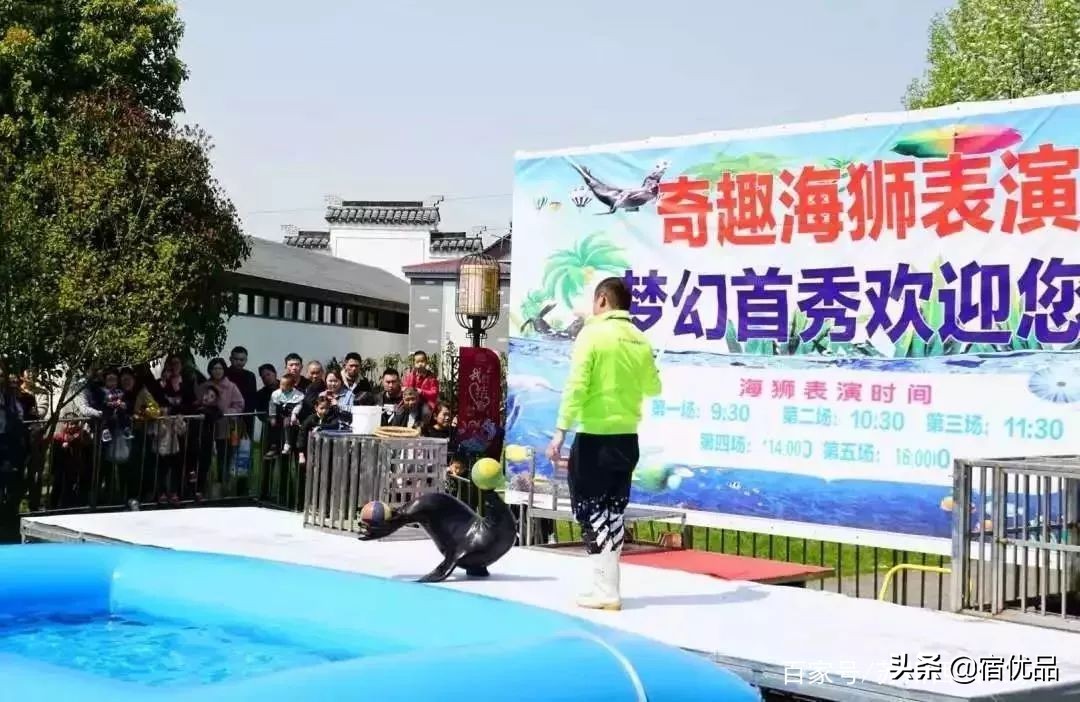 河源市连平县忠信镇大湖花海,太湖花海主题乐园