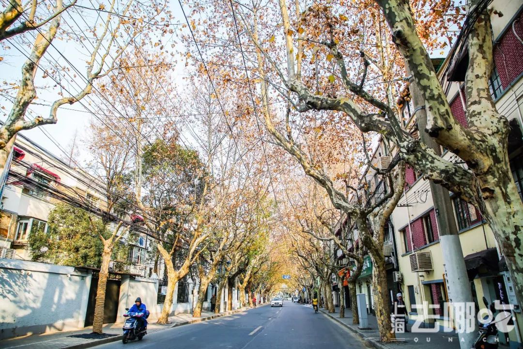 上海国庆小众旅行攻略路线图,上海出发国庆旅游攻略推荐