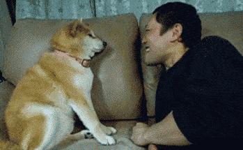 教你几招从此和口臭说拜拜,为什么口臭自己闻不到教你一招