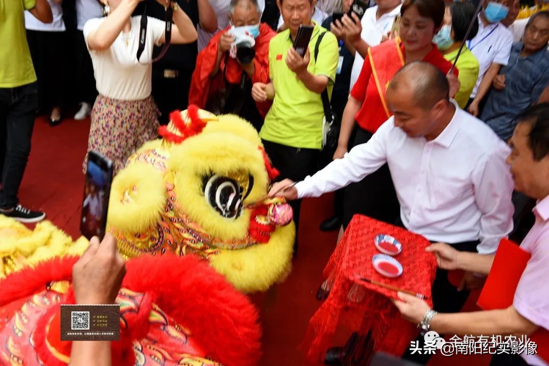绿航超市,宜家生鲜超市开业
