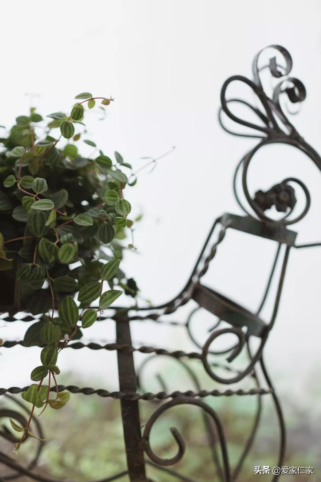 她买下32㎡上海老旧学区房，为女儿打造小桃园，还有超舒适大庭院